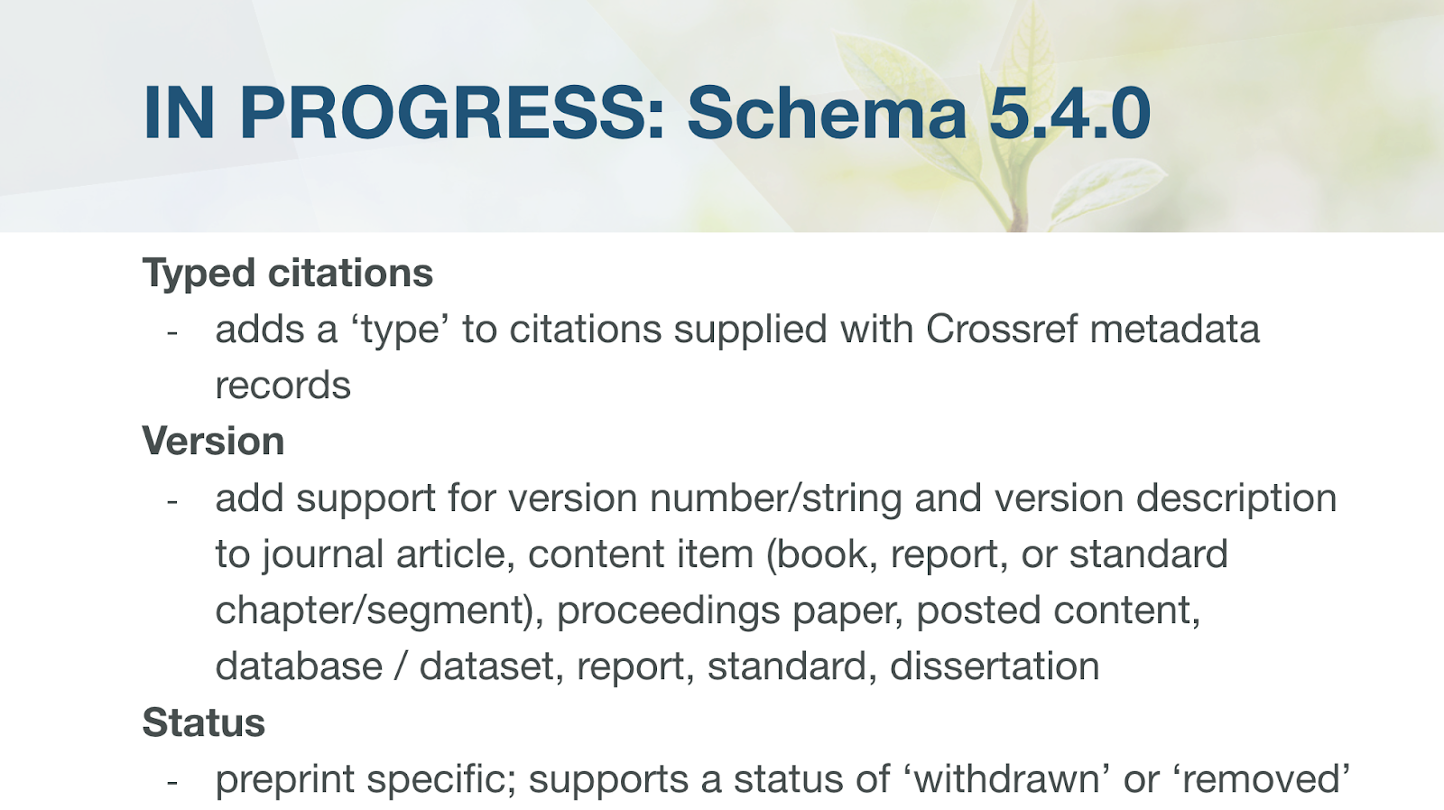 screenshot of a slide titled - in progress schema 5.4.0